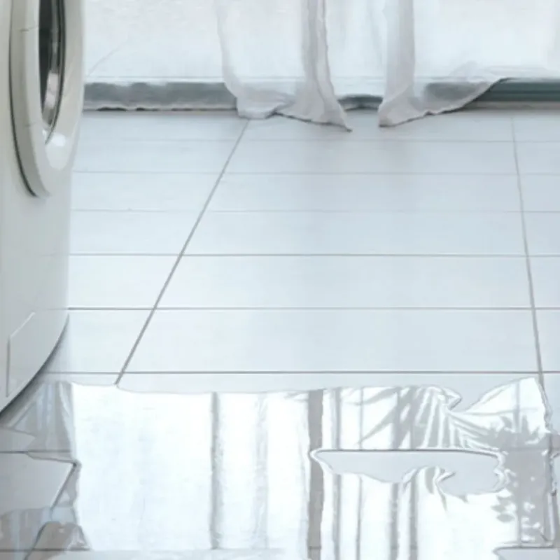Appliance Leak Cleanup in Chevy Chase, DC