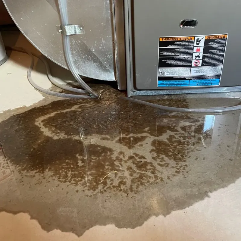 Pipe Burst and Leak Restoration in Chevy Chase, DC